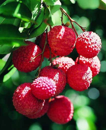 1592964619716483.jpg u=3000028758,1092019766&fm=26&gp=0.jpg